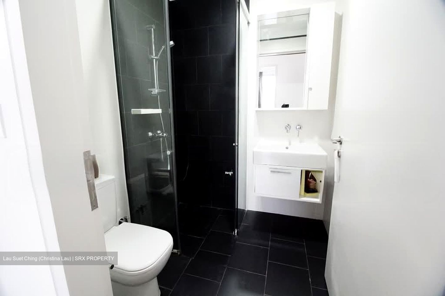 Village @ Pasir Panjang (D5), Condominium #604934881